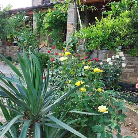 Istrian Stone House With Big Garden Holiday home *