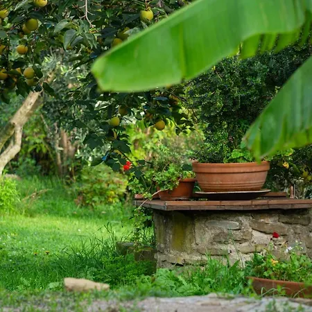 Istrian Stone House With Big Garden * Marezige