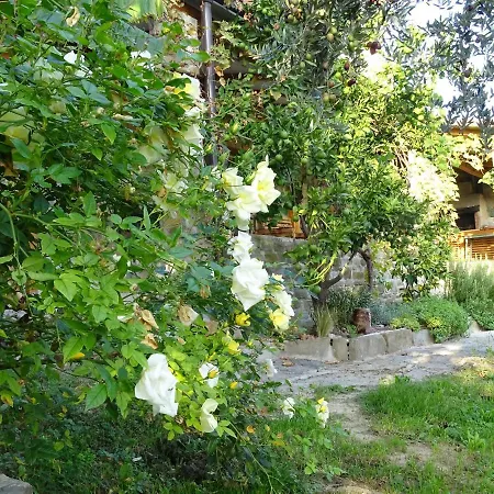 Istrian Stone House With Big Garden *