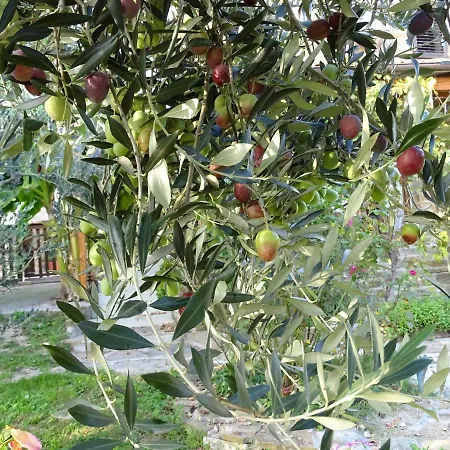 Istrian Stone House With Big Garden