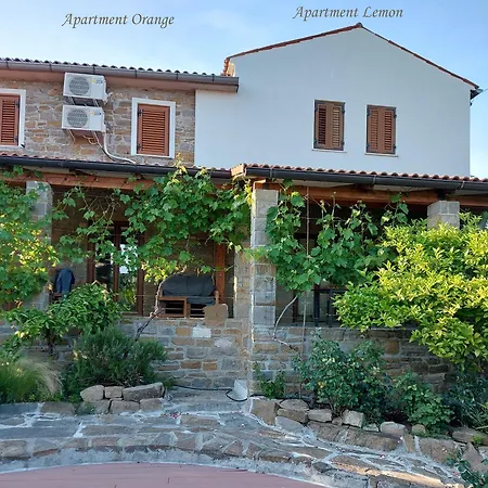 Istrian Stone House With Big Garden * Marezige