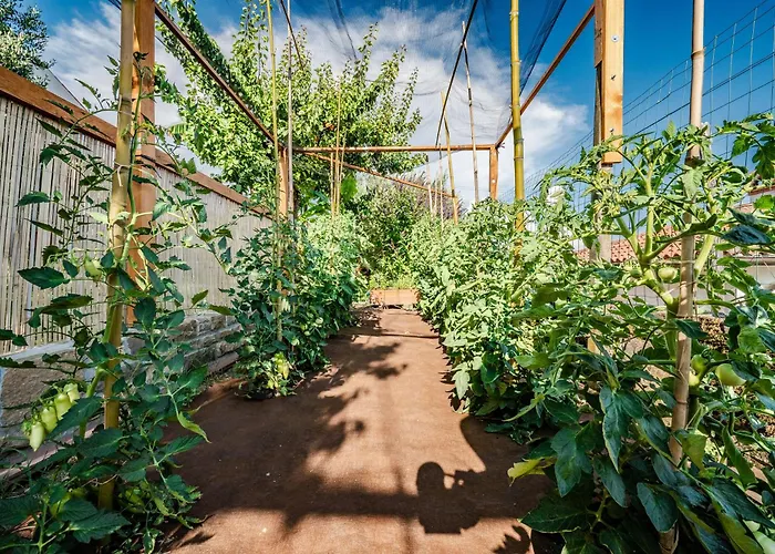Istrian Stone House With Big Garden Marezige